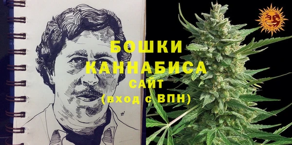 амф Бронницы