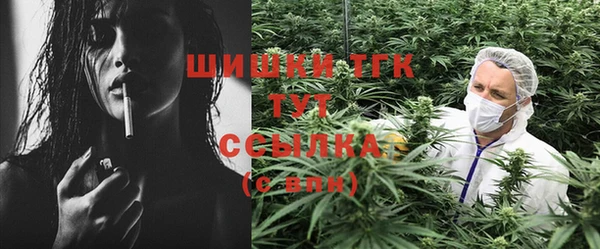прущая мука Бородино