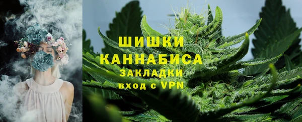 амф Бронницы